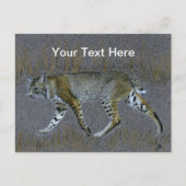 Carte Postale Bobcat (Devant)