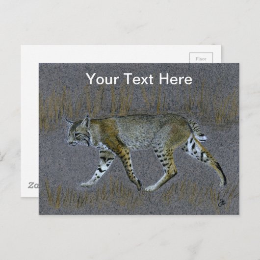 Carte Postale Bobcat (Devant / Derrière)