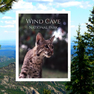 Carte Postale Bobcat au parc national Wind Cave National Park, D