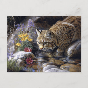 Carte Postale Bobcat avec art Pittoresque Fleur sauvage