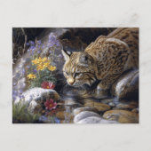 Carte Postale Bobcat avec art Pittoresque Fleur sauvage (Devant)