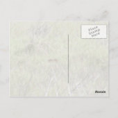 Carte Postale Bobcat de Floride (Dos)