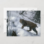 Carte Postale Bobcat sur la neige (Devant / Derrière)