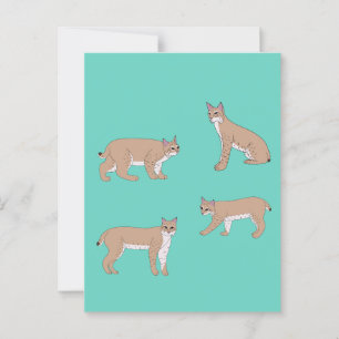 Carte Postale Bobcats