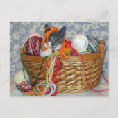 Carte Postale Bob's Fun with Yarn Postcard (Devant)
