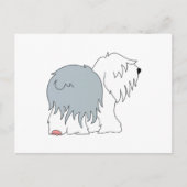 Carte Postale Bobtail Sheepdog (Devant)