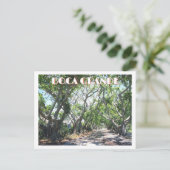 Carte Postale Boca Grande, Gasparilla Island, Floride Banyans (Debout devant)