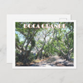 Carte Postale Boca Grande, Gasparilla Island, Floride Banyans (Devant / Derrière)