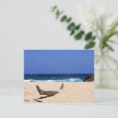 Carte Postale Boca Mahos (Debout devant)