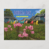 Carte Postale Bodega Bay Bodega Harbor (Devant)