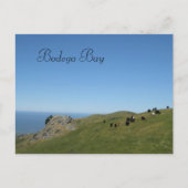 Carte Postale Bodega Bay, Ca, (Devant)