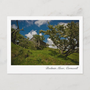 Carte postale Bodmin Moor, Cornouailles