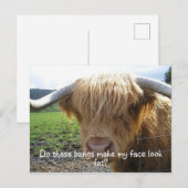 Carte Postale Bœuf des Highlands drôle (Devant / Derrière)