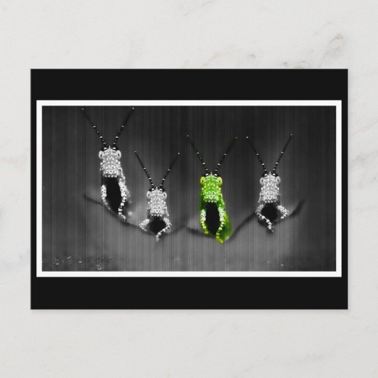 Carte Postale Boeuf vert Lumpy (Devant)