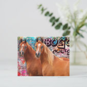 Carte Postale BOGO Colts - Graffiti Post Card - Chevaux arabes (Debout devant)