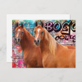 Carte Postale BOGO Colts - Graffiti Post Card - Chevaux arabes (Devant / Derrière)