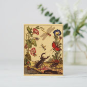 Carte Postale Bogue 1764 (Debout devant)