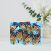 Carte Postale Bogue d'eau géante frite (Maeng Daa) ... Alimentat (Debout devant)