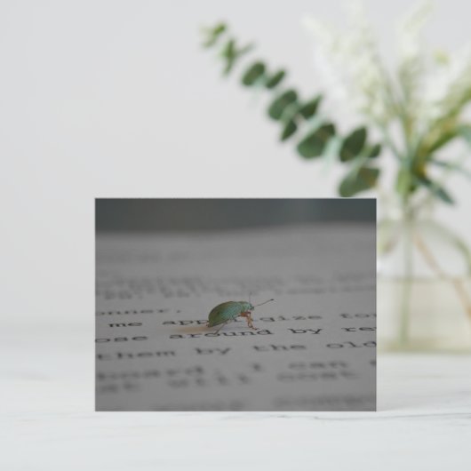 Carte Postale Bogue Office (Debout devant)