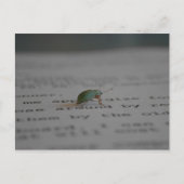 Carte Postale Bogue Office (Devant)