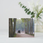 Carte Postale Boguet 1 de Versailles (Debout devant)