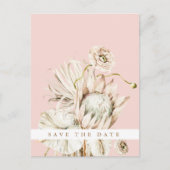 Carte Postale Boho Protea Pampas Grass Blush Enregistrer la date (Devant)