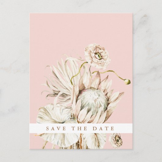Carte Postale Boho Protea Pampas Grass Blush Enregistrer la date (Devant)