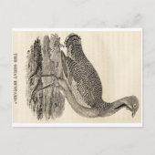 Carte postale Bois (Devant)