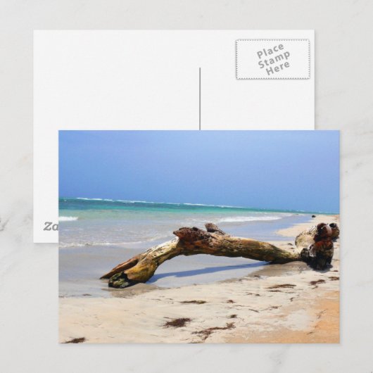 Carte Postale Bois (Devant / Derrière)