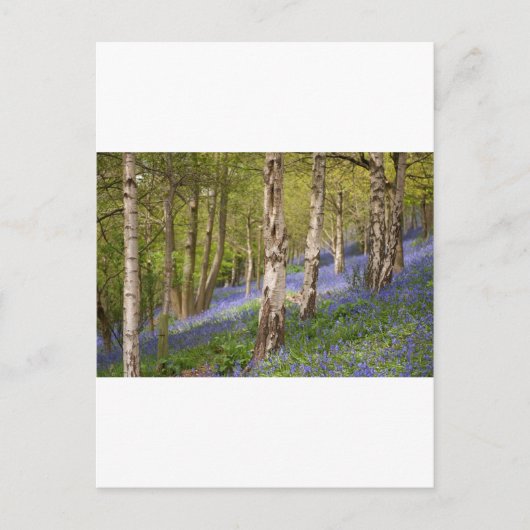 Carte Postale Bois (Devant)
