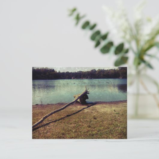 Carte Postale Bois (Debout devant)