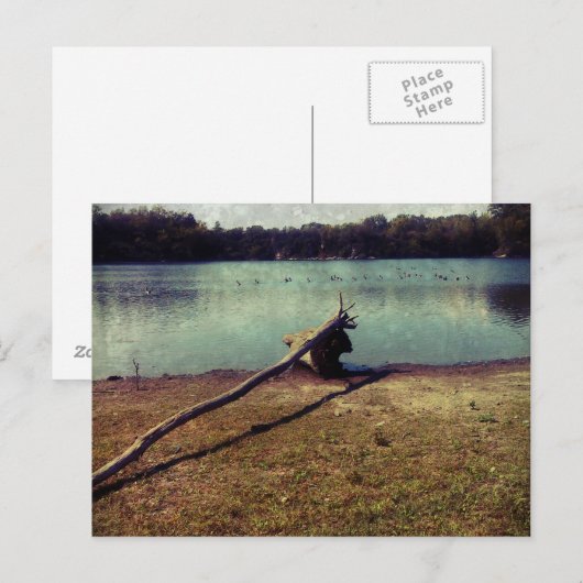 Carte Postale Bois (Devant / Derrière)