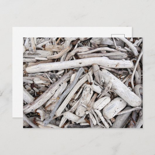 Carte Postale Bois (Devant / Derrière)