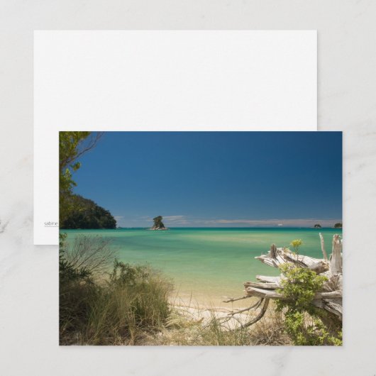 Carte Postale Bois (Devant / Derrière)