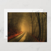 Carte Postale bois brouillard (Devant / Derrière)