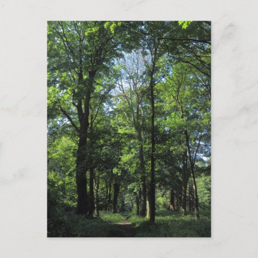 Carte Postale Bois. Bute Park, Cardiff (Devant)