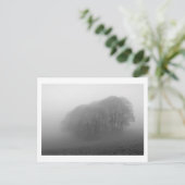 Carte Postale Bois dans la fosse : Cheshire, Angleterre (Debout devant)