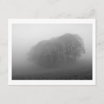 Bois dans la fosse : Cheshire, Angleterre