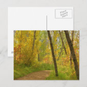 Carte Postale Bois d'automne (Devant / Derrière)
