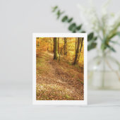 Carte Postale Bois d'automne : Cumbria (Debout devant)