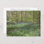 Carte Postale Bois de Bluebell Poynton Cheshire (Devant / Derrière)