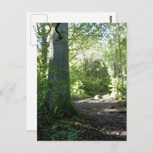 Carte Postale Bois de Castlehead : Keswick (Devant / Derrière)