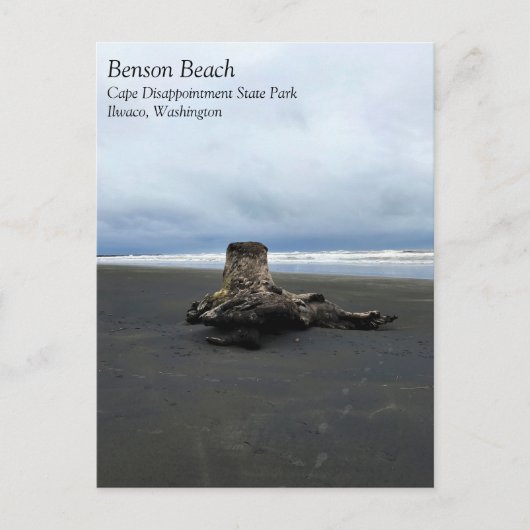 Carte Postale Bois de chauffe à Benson Beach, Cape Disnomination (Devant)