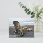 Carte Postale Bois de chauffe à Benson Beach, Cape Disnomination (Debout devant)