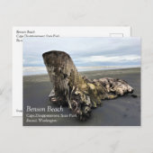 Carte Postale Bois de chauffe à Benson Beach, Cape Disnomination (Devant / Derrière)