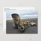 Carte Postale Bois de chauffe à Benson Beach, Cape Disnomination (Devant / Derrière)