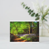 Carte Postale Bois de Jacinthe des bois (Debout devant)