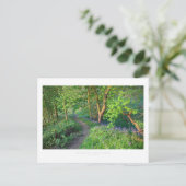 Carte Postale Bois de printemps Cotswold (Debout devant)