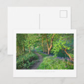 Carte Postale Bois de printemps Cotswold (Devant / Derrière)