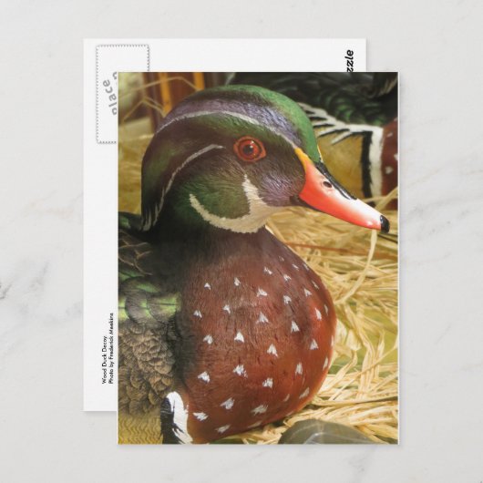 Carte Postale Bois Decoy (Devant / Derrière)